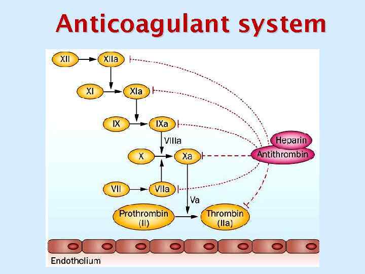 Anticoagulant system 