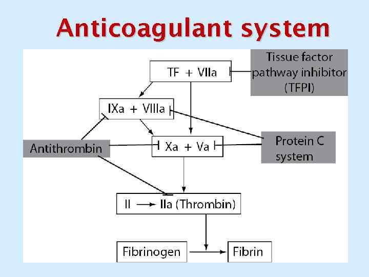 Anticoagulant system 