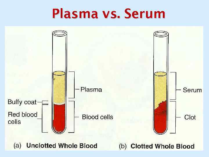 Plasma vs. Serum 