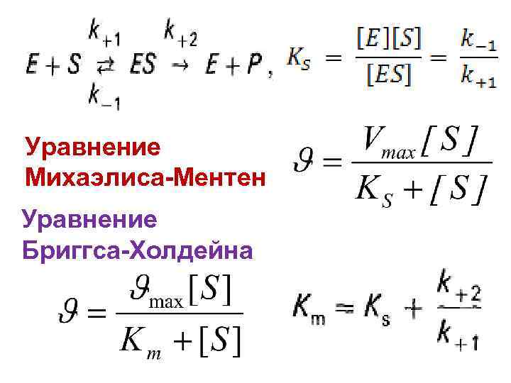 Уравнение Михаэлиса-Ментен Уравнение Бриггса-Холдейна 