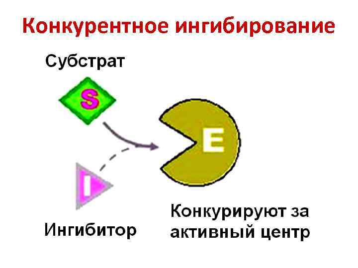 Конкурентное ингибирование 