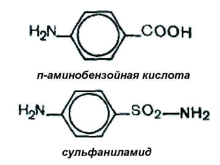 п-аминобензойная кислота сульфаниламид 