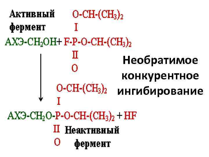 Необратимое конкурентное ингибирование 
