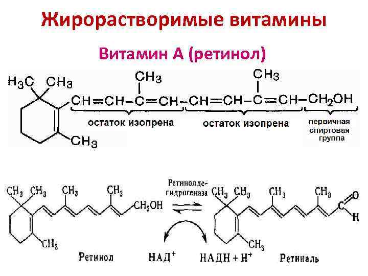 Жирорастворимые витамины Витамин А (ретинол) 
