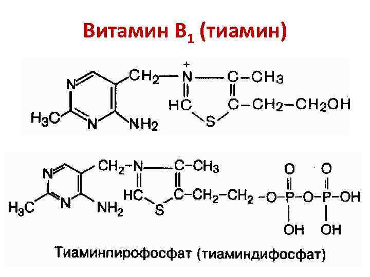 Витамин В 1 (тиамин) 