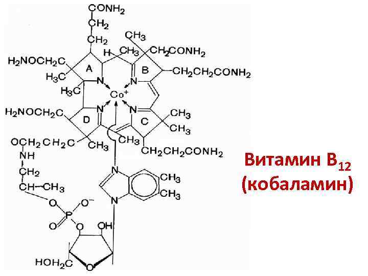 Витамин В 12 (кобаламин) 