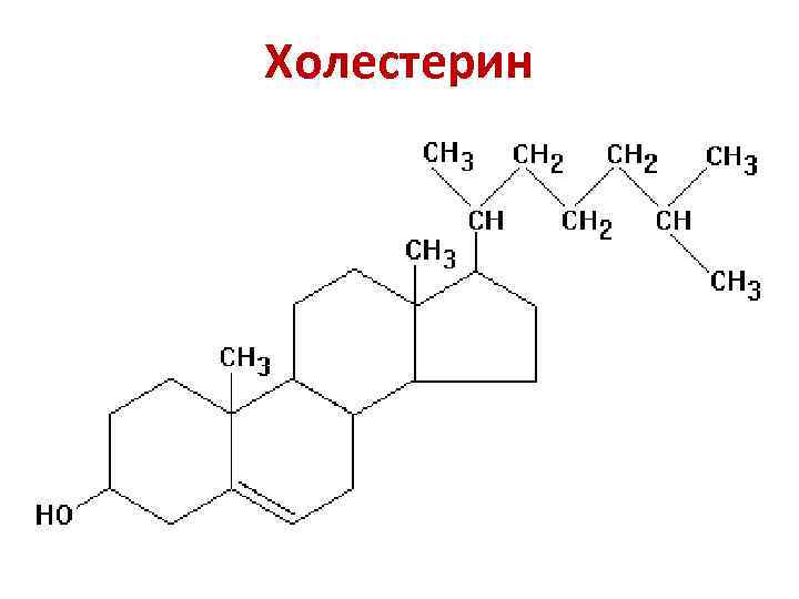 Холестерин 