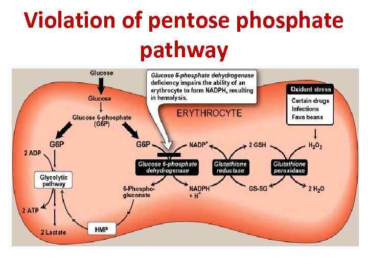Violation of pentose phosphate pathway 