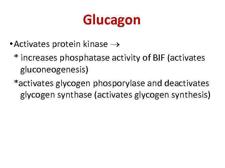 Glucagon • Activates protein kinase * increases phosphatase activity of BIF (activates gluconeogenesis) *activates