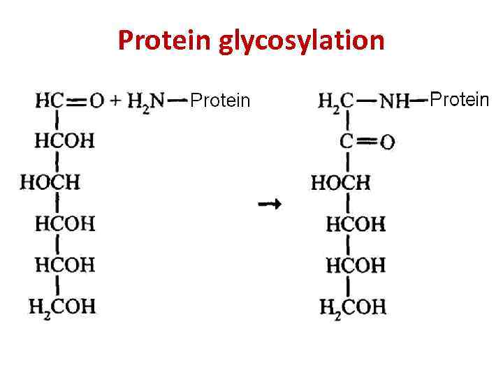 Protein glycosylation 