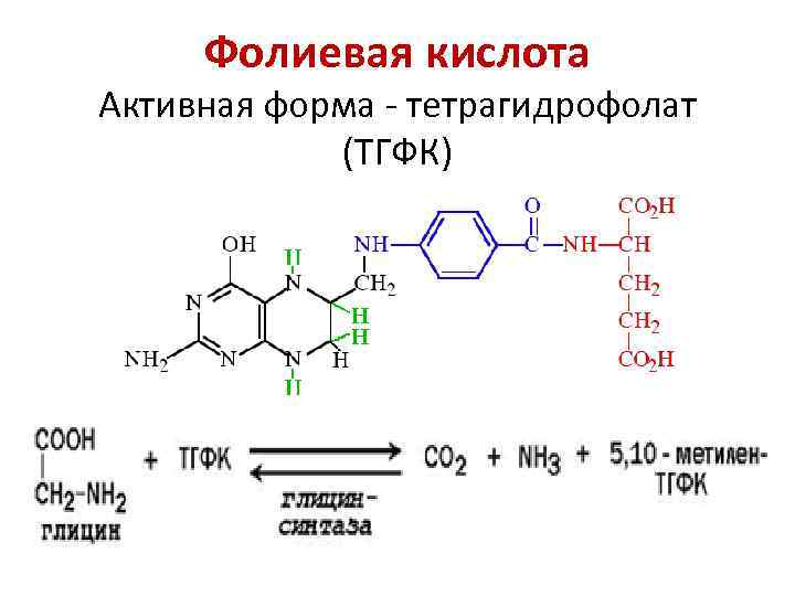 Фолиевая кислота Активная форма - тетрагидрофолат (ТГФК) 
