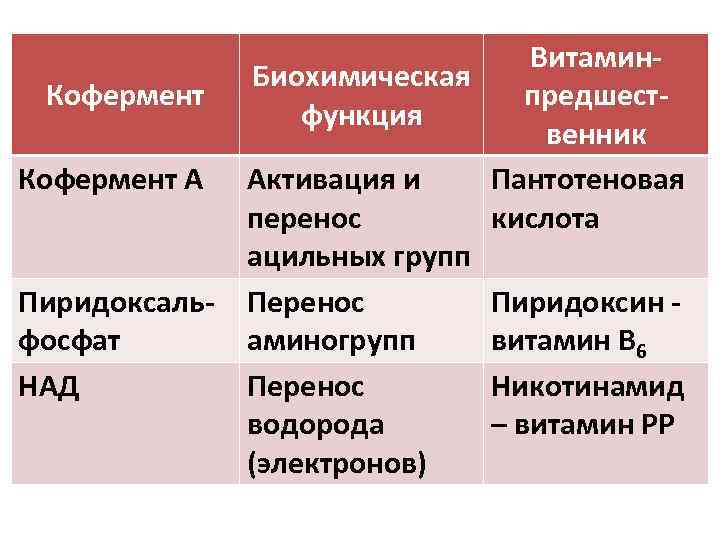 Кофермент А Пиридоксальфосфат НАД Витамин. Биохимическая предшестфункция венник Активация и Пантотеновая перенос кислота ацильных