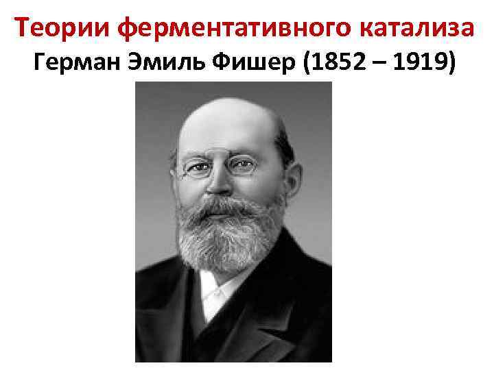 Теории ферментативного катализа Герман Эмиль Фишер (1852 – 1919) 