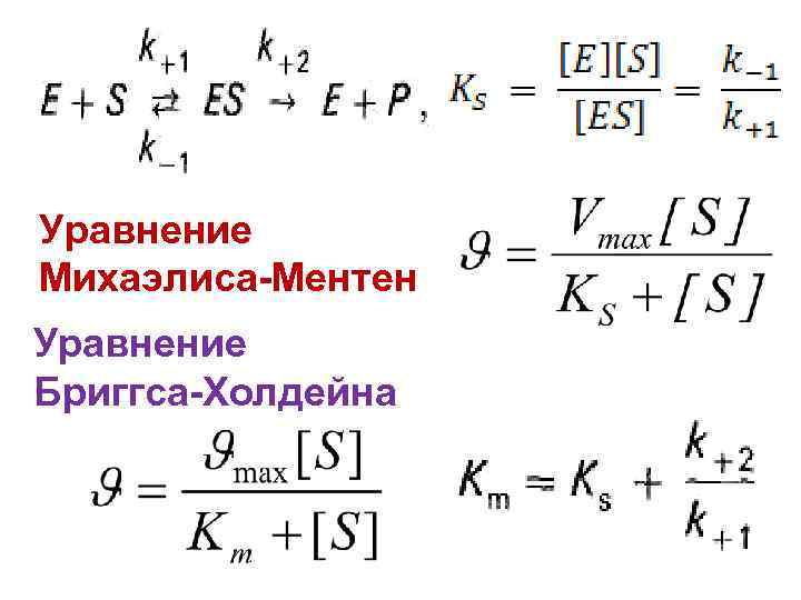 Уравнение Михаэлиса-Ментен Уравнение Бриггса-Холдейна 