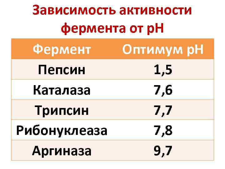 Зависимость активности фермента от р. Н Фермент Оптимум р. Н Пепсин 1, 5 Каталаза