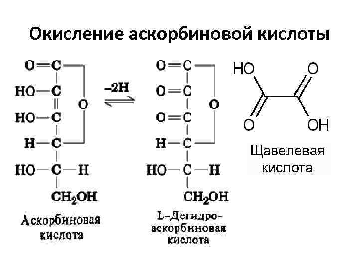 Окисление аскорбиновой кислоты Щавелевая кислота 