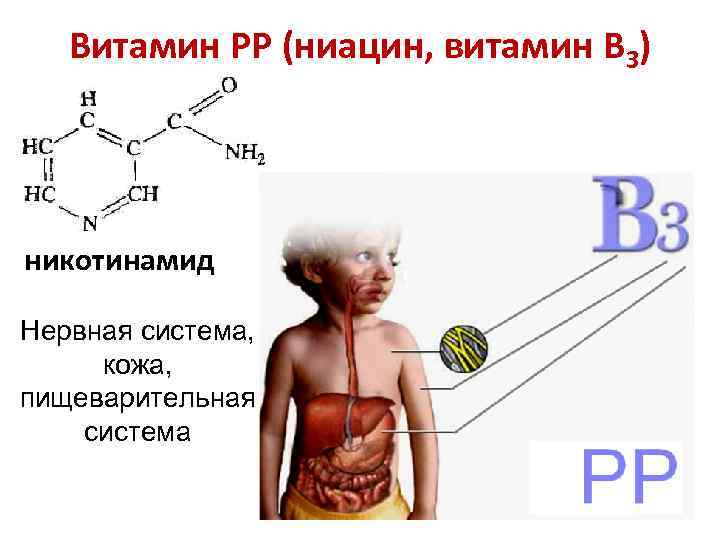 Циклическая витаминотерапия схема