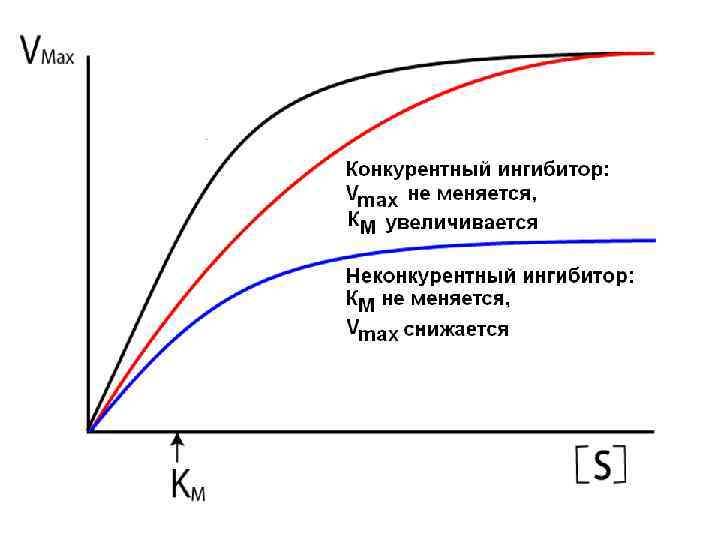 Схема конкурентного ингибирования