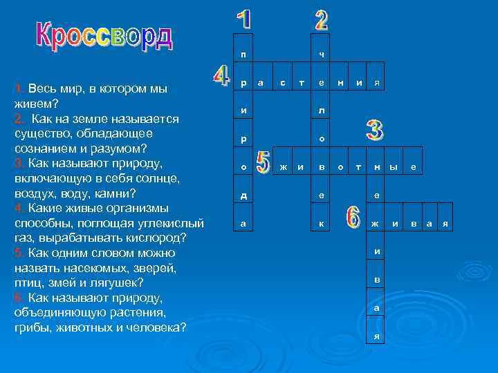  п 1. Весь мир, в котором мы живем? 2. Как на земле называется