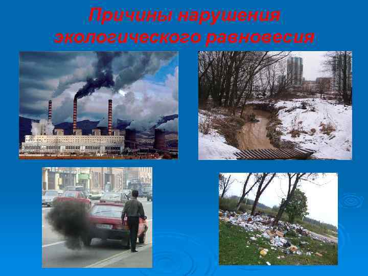 Причины нарушения экологического равновесия 