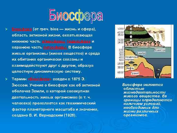 Ø Биосфера (от греч. bios — жизнь и сфера), область активной жизни, охватывающая нижнюю