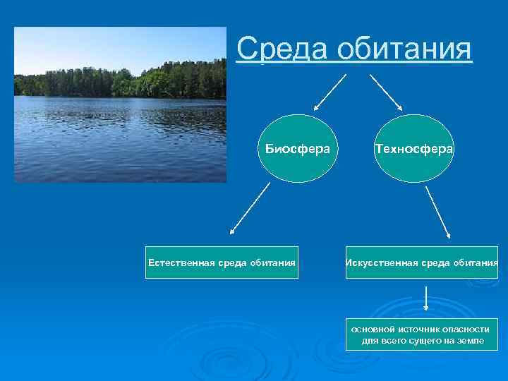 Среда обитания Биосфера Естественная среда обитания Техносфера Искусственная среда обитания основной источник опасности для