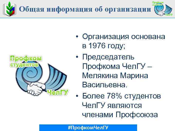 Общая информация об организации • Организация основана в 1976 году; • Председатель Профкома Чел.