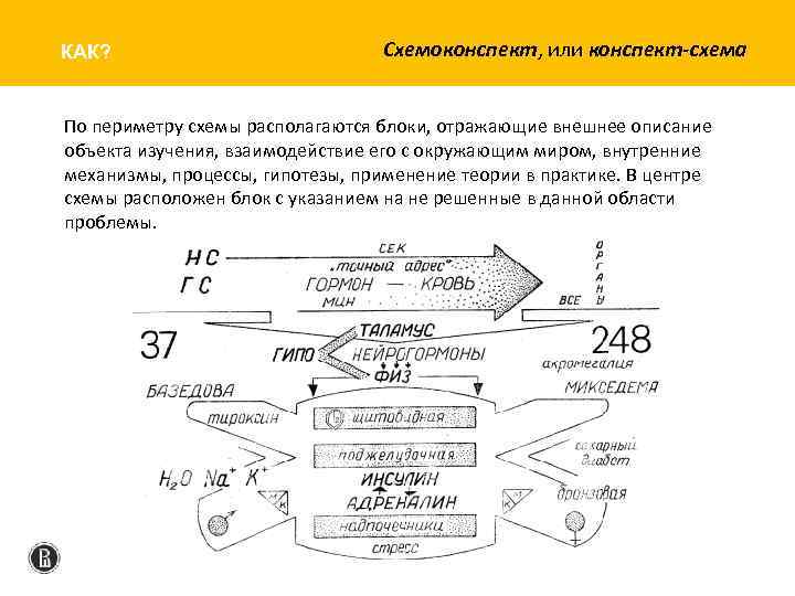 Конспект схема это