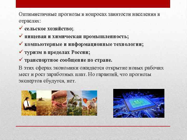 Оптимистичные прогнозы в вопросах занятости населения в отраслях: ü сельское хозяйство; ü пищевая и