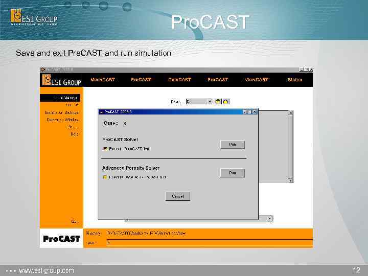 Pro. CAST Save and exit Pre. CAST and run simulation 12 