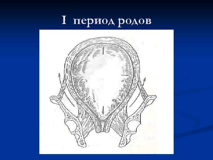 I период родов 