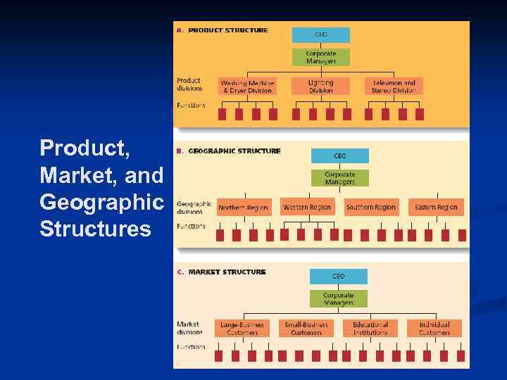 Product, Market, and Geographic Structures 