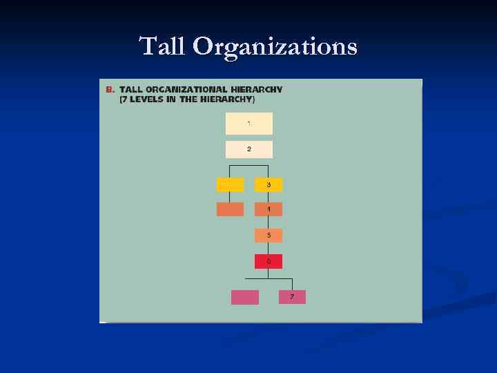 Tall Organizations 