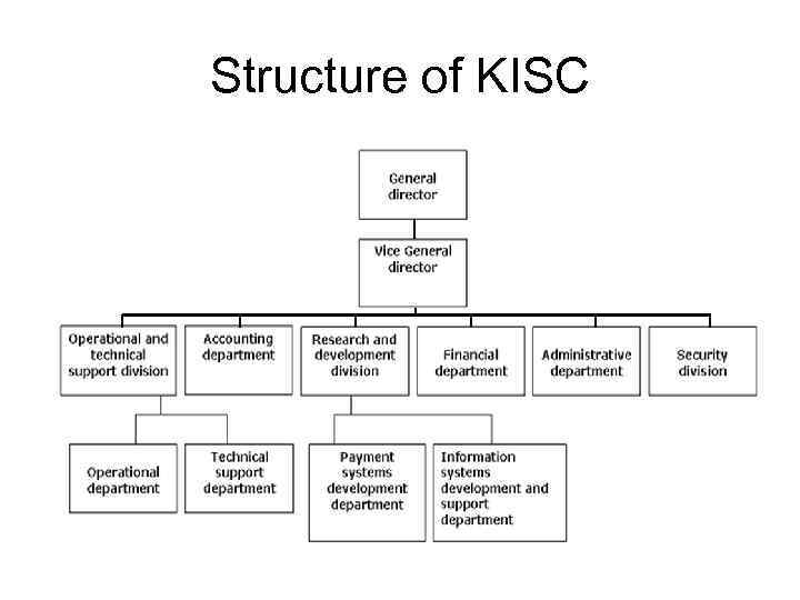 Structure of KISC 