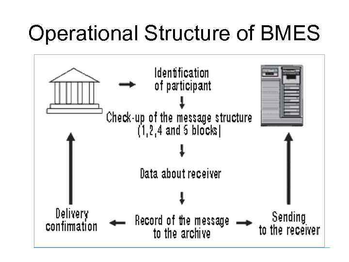 Operational Structure of BMES 