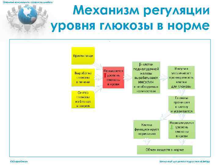 Открытый консилиум по сахарному диабету Механизм регуляции уровня глюкозы в норме. ГОО «Диа. Омск»