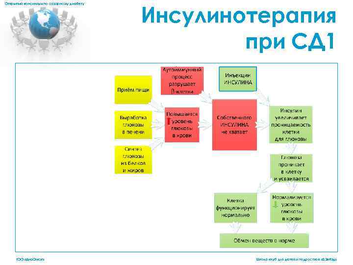 Открытый консилиум по сахарному диабету Инсулинотерапия при СД 1. ГОО «Диа. Омск» Школа-клуб для