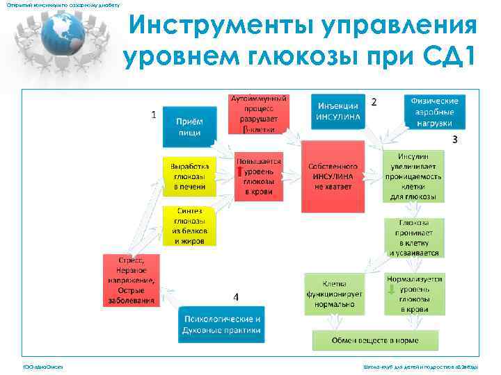 Открытый консилиум по сахарному диабету Инструменты управления уровнем глюкозы при СД 1. ГОО «Диа.