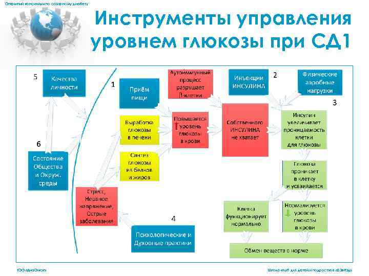 Открытый консилиум по сахарному диабету Инструменты управления уровнем глюкозы при СД 1. ГОО «Диа.