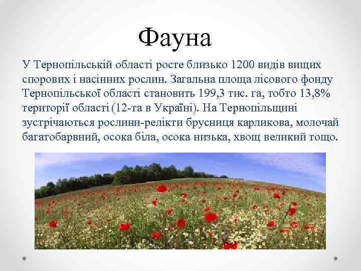 Фауна У Тернопільській області росте близько 1200 видів вищих спорових і насінних рослин. Загальна