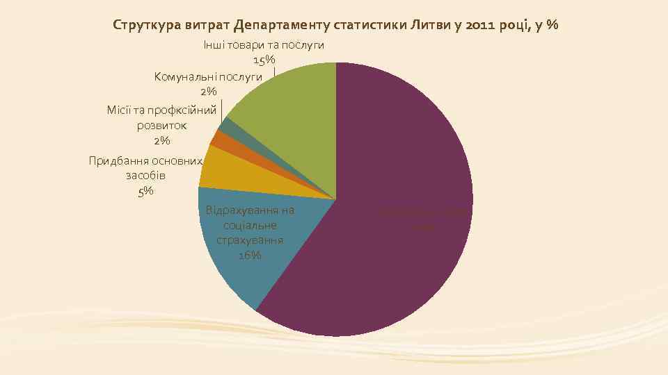 Струткура витрат Департаменту статистики Литви у 2011 році, у % Інші товари та послуги