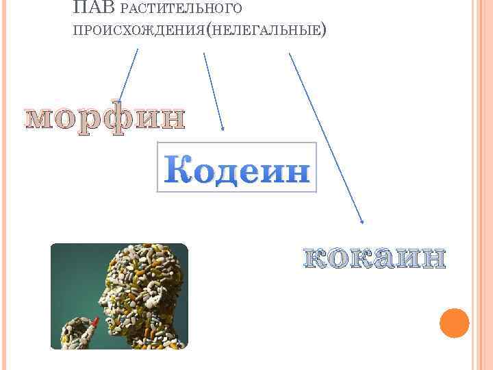 ПАВ РАСТИТЕЛЬНОГО ПРОИСХОЖДЕНИЯ(НЕЛЕГАЛЬНЫЕ) морфин Кодеин кокаин 