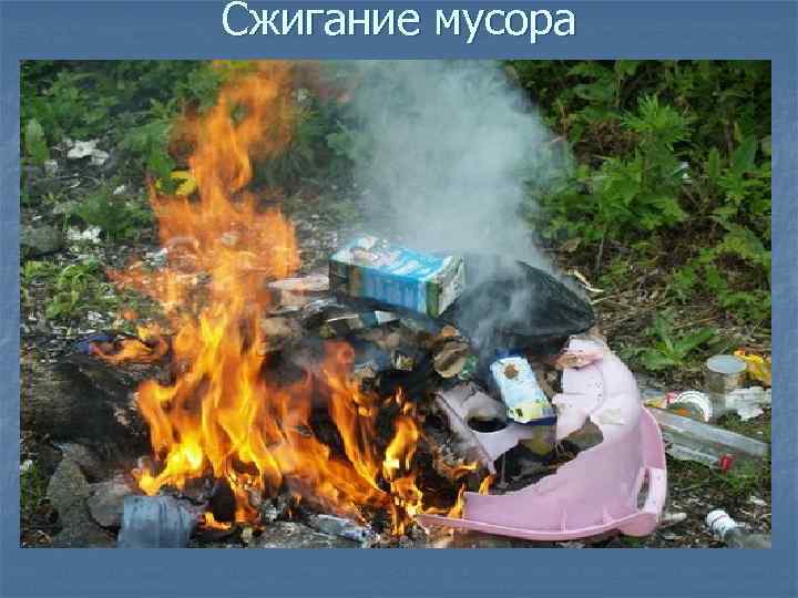Сжигание мусора 