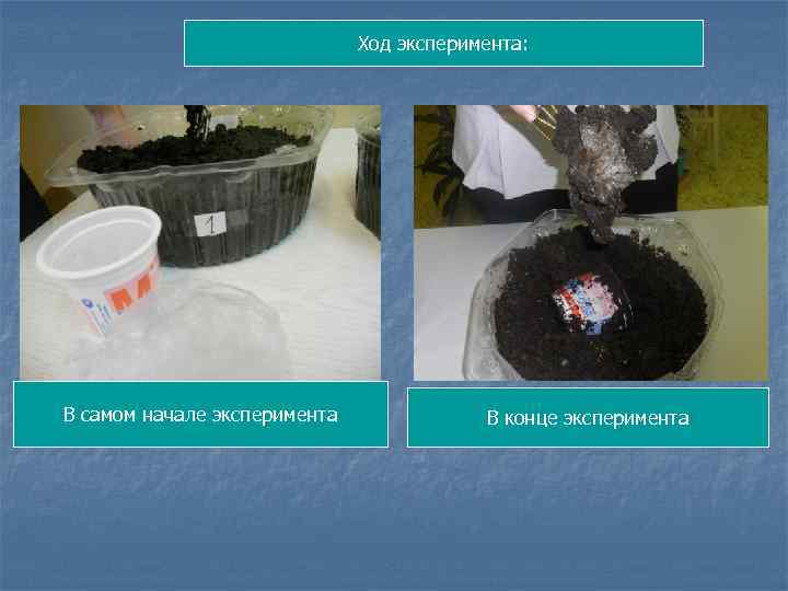 Ход эксперимента: В самом начале эксперимента В конце эксперимента 