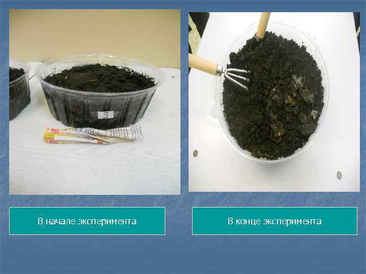 В начале эксперимента В конце эксперимента 