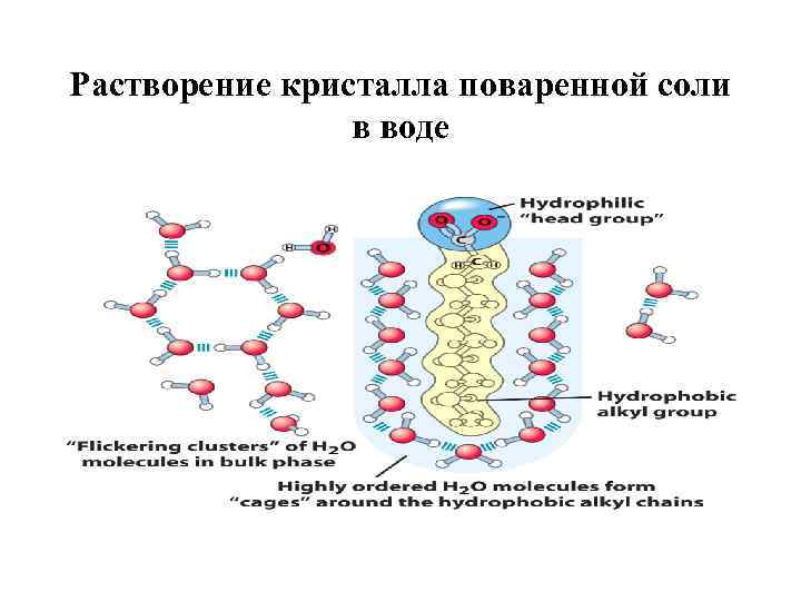 Растворение кристалла поваренной соли в воде 