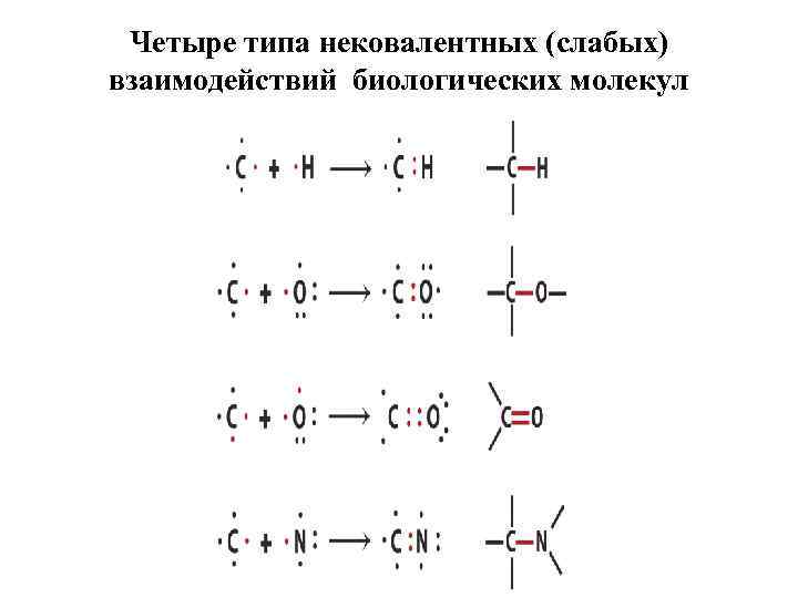 Четыре типа нековалентных (слабых) взаимодействий биологических молекул 