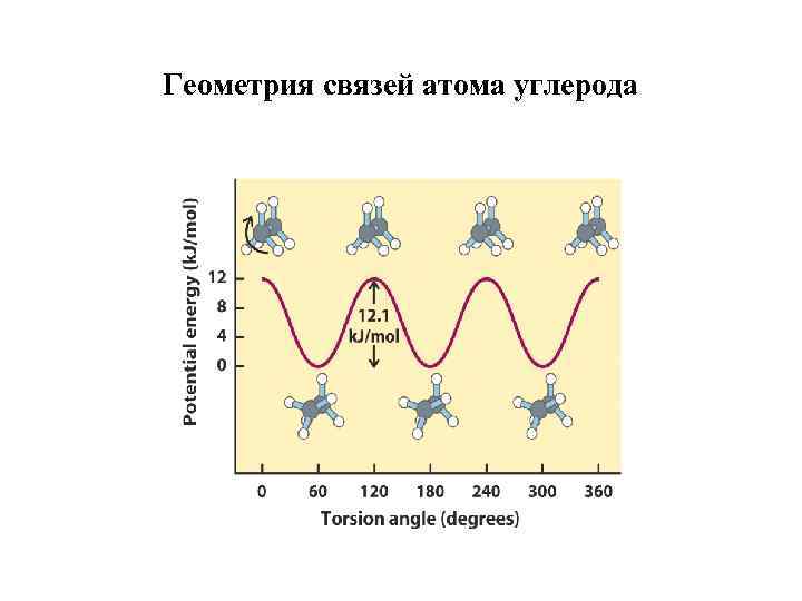 Геометрия связей атома углерода 