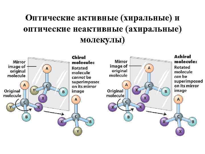 Оптические активные (хиральные) и оптические неактивные (ахиральные) молекулы) 