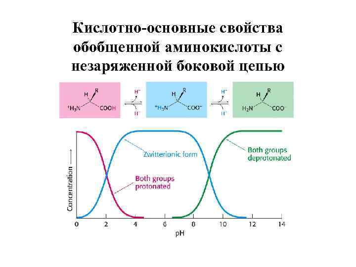 Кислотно-основные свойства обобщенной аминокислоты с незаряженной боковой цепью 